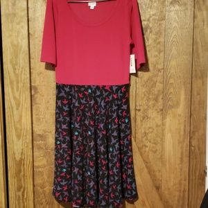 Xl Lularoe Nicole